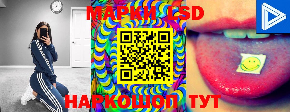 Шадринск  ЛСД экстази ecstasy  Вход с VPN  ЛСД экстази ecstasy 